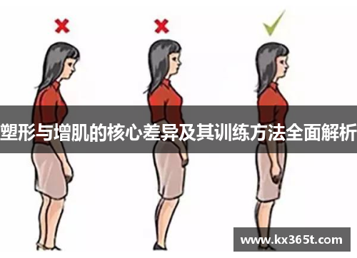 塑形与增肌的核心差异及其训练方法全面解析