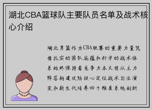 湖北CBA篮球队主要队员名单及战术核心介绍